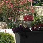 Irini Boutique Rooms!!! Hotel