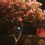 Irini Boutique Rooms!!! 3* Himare