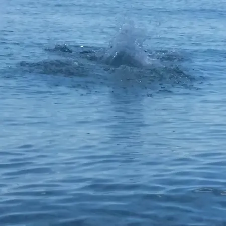 Irini Boutique Rooms!!! ホテル ヒマラ