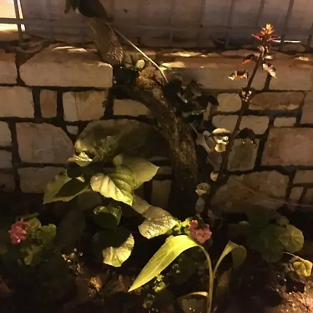 Irini Boutique Rooms!!! ホテル 3*