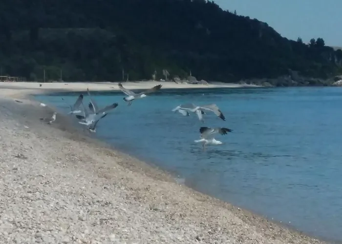 Irini Boutique Rooms!!!