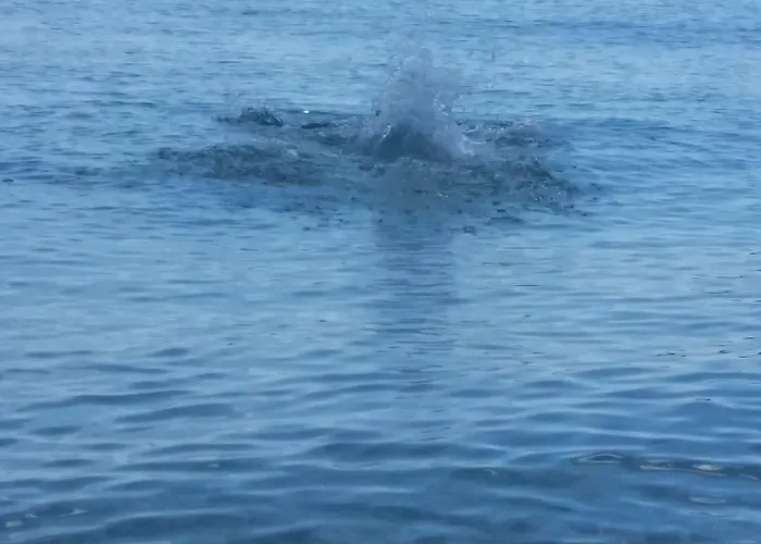 Irini Boutique Rooms!!! 酒店 希马拉