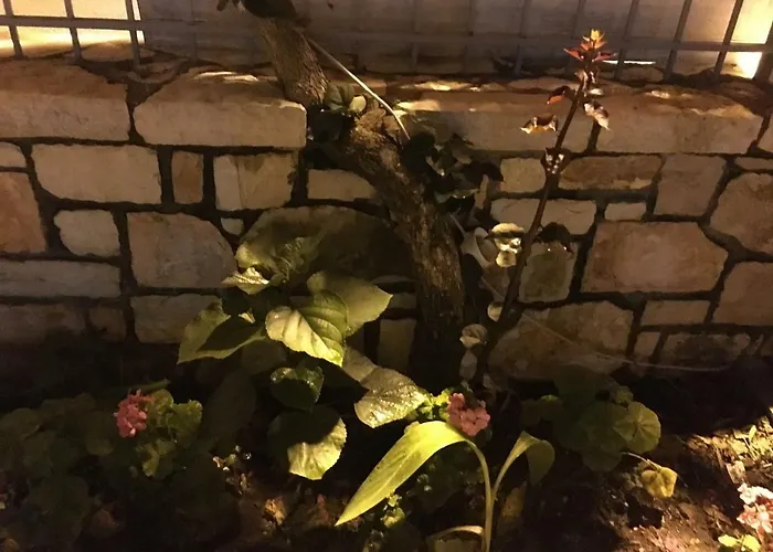 Irini Boutique Rooms!!! Отель 3*